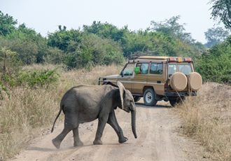 Queen Elizabeth National Park