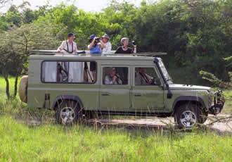 Uganda safaris