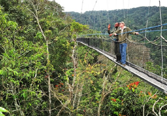 Nyungwe Forest National Park