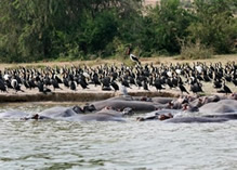 Kazinga channel