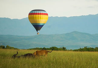 Murchison falls national park