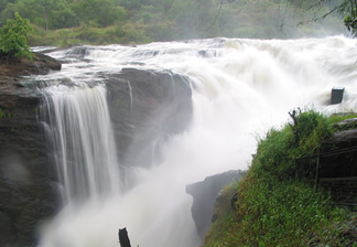 What to see and do in murchison falls national park