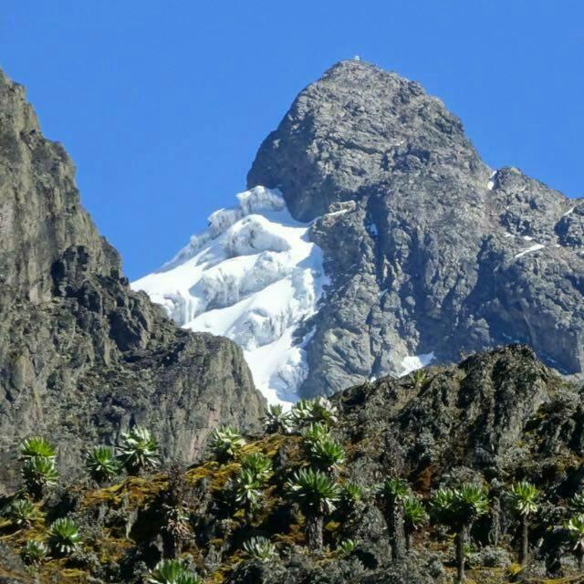 Mount Rwenzori National Park