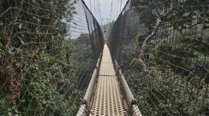 8 Days Rwanda safari