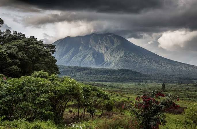 Virunga National Park