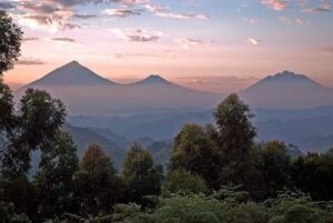Virunga national park