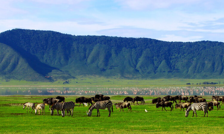 3-Day Tanzania Safari