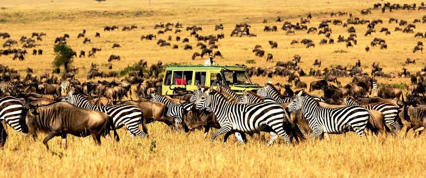 5-Day Tanzania safari